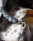 Dog Collar